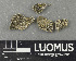  ( - H9243320)  @11 [ ] by-nc (2024) Erkka Laine Luomus