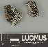  ( - H9247731)  @11 [ ] by-nc (2025) Erkka Laine Luomus