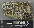  ( - H9243510)  @11 [ ] by-nc (2024) Erkka Laine Luomus