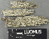  ( - H9243417)  @11 [ ] by-nc (2024) Erkka Laine Luomus