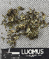  ( - H9243607)  @11 [ ] by-nc (2024) Erkka Laine Luomus