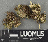  ( - H9243700)  @11 [ ] by-nc (2024) Erkka Laine Luomus