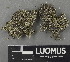  ( - H9243048)  @11 [ ] by-nc (2024) Erkka Laine Luomus