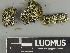  ( - H9247482)  @11 [ ] by-nc (2025) Erkka Laine Luomus