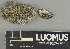  ( - H9247419)  @11 [ ] by-nc (2025) Erkka Laine Luomus