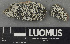  ( - H9243144)  @11 [ ] by-nc (2024) Erkka Laine Luomus