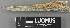  ( - H9243611)  @11 [ ] by-nc (2024) Erkka Laine Luomus