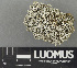  ( - H9243706)  @11 [ ] by-nc (2024) Erkka Laine Luomus