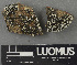  ( - H9243148)  @11 [ ] by-nc (2024) Erkka Laine Luomus