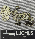  ( - H9243149)  @11 [ ] by-nc (2024) Erkka Laine Luomus