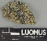  ( - H9247490)  @11 [ ] by-nc (2025) Erkka Laine Luomus