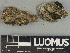  ( - H9247491)  @11 [ ] by-nc (2025) Erkka Laine Luomus