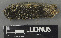 ( - H9243155)  @11 [ ] by-nc (2024) Erkka Laine Luomus
