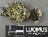  ( - H9243434)  @11 [ ] by-nc (2024) Erkka Laine Luomus