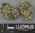  ( - H9243623)  @11 [ ] by-nc (2024) Erkka Laine Luomus