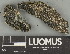  ( - H9247656)  @11 [ ] by-nc (2025) Erkka Laine Luomus