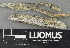  ( - H9243719)  @11 [ ] by-nc (2024) Erkka Laine Luomus