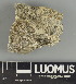  ( - H9247495)  @11 [ ] by-nc (2025) Erkka Laine Luomus