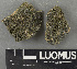  ( - H9243627)  @11 [ ] by-nc (2024) Erkka Laine Luomus