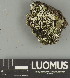  ( - H9247660)  @11 [ ] by-nc (2025) Erkka Laine Luomus