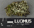 ( - H9243163)  @11 [ ] by-nc (2024) Erkka Laine Luomus