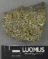  ( - H9243166)  @11 [ ] by-nc (2024) Erkka Laine Luomus