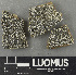  ( - H9243538)  @11 [ ] by-nc (2024) Erkka Laine Luomus