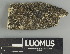  ( - H9211451)  @11 [ ] by-nc (2025) Erkka Laine Luomus