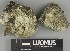  ( - H9247361)  @11 [ ] by-nc (2025) Erkka Laine Luomus