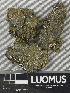  ( - H9243446)  @11 [ ] by-nc (2024) Erkka Laine Luomus