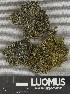  ( - H9247362)  @11 [ ] by-nc (2025) Erkka Laine Luomus