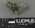  ( - H9243266)  @11 [ ] by-nc (2024) Erkka Laine Luomus