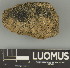  ( - H9247669)  @11 [ ] by-nc (2025) Erkka Laine Luomus