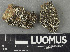  ( - H9243355)  @11 [ ] by-nc (2024) Erkka Laine Luomus