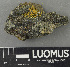  ( - H9243640)  @11 [ ] by-nc (2024) Erkka Laine Luomus