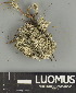  ( - H9247507)  @11 [ ] by-nc (2025) Erkka Laine Luomus