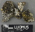  ( - H9243081)  @11 [ ] by-nc (2024) Erkka Laine Luomus