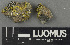  ( - H9243178)  @11 [ ] by-nc (2024) Erkka Laine Luomus