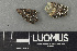  ( - H9243643)  @11 [ ] by-nc (2024) Erkka Laine Luomus