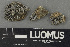  ( - H9243179)  @11 [ ] by-nc (2024) Erkka Laine Luomus
