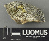  ( - H9243458)  @11 [ ] by-nc (2024) Erkka Laine Luomus