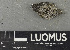  ( - H9243647)  @11 [ ] by-nc (2024) Erkka Laine Luomus