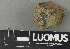  ( - H9243459)  @11 [ ] by-nc (2024) Erkka Laine Luomus