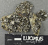  ( - H9243460)  @11 [ ] by-nc (2024) Erkka Laine Luomus