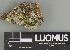  ( - H9237707.1)  @11 [ ] by-nc (2025) Erkka Laine Luomus