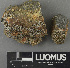  ( - H9243188)  @11 [ ] by-nc (2024) Erkka Laine Luomus
