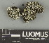  ( - H9247685)  @11 [ ] by-nc (2025) Erkka Laine Luomus