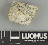  ( - H9247518)  @11 [ ] by-nc (2025) Erkka Laine Luomus