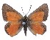  ( - AP-389)  @11 [ ] by-nc (2022) Pasi Sihvonen University of Helsinki