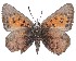  ( - AP-389)  @11 [ ] by-nc (2022) Pasi Sihvonen University of Helsinki
